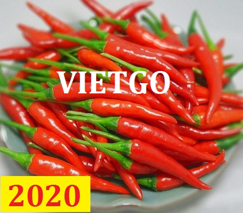 Cơ hội giao thương – Đơn hàng Cả Năm - Cơ hội xuất khẩu Ớt Chỉ Thiên sang thị trường Iran