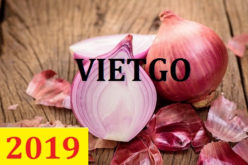 Cơ hội giao thương – Đơn hàng Thường Xuyên - Cơ hội xuất khẩu Hành Tây sang thị trường Bangladesh