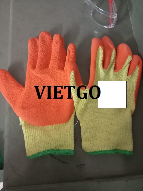Cơ hội giao thương– Cơ hội xuất khẩu găng tay lao động đến Ấn Độ