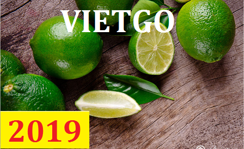 Cơ hội giao thương  – Đơn hàng Thường Xuyên - Cơ hội xuất khẩu Chanh Xanh sang thị trường UAE