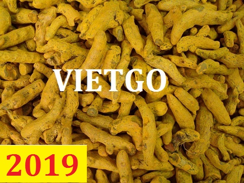 Cơ hội giao thương  – Đơn hàng Thường Xuyên - Cơ hội xuất khẩu Củ Nghệ sang thị trường Iran