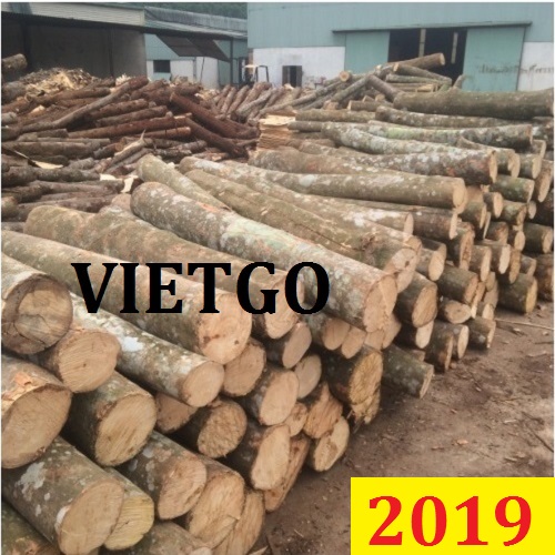 Cơ hội giao thương đặc biệt -  Đơn hàng thường xuyên - Cơ hội xuất khẩu Gỗ keo tròn sang Ấn Độ