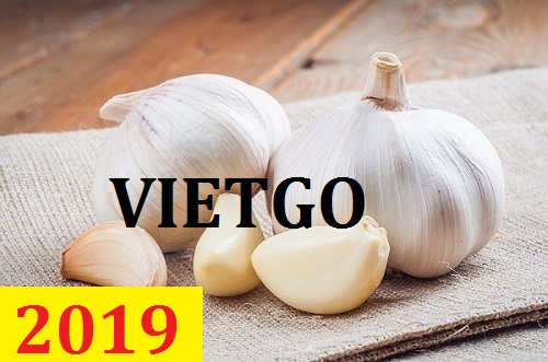 Cơ hội giao thương  – Đơn hàng Thường Xuyên - Cơ hội xuất khẩu Tỏi Tươi sang thị trường UAE