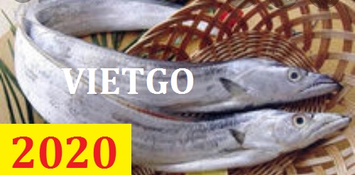 Cơ hội giao thương – Đơn hàng Cả Năm: Cơ hội xuất khẩu Cá Hố sang thị trường Trung Quốc