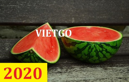 Cơ hội giao thương – Đơn hàng Thường Xuyên - Cơ hội xuất khẩu Dưa Hấu sang thị trường Maldives