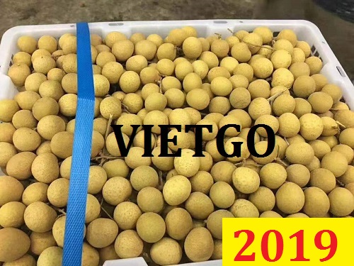 (Cập nhật lần 1) Cơ hội giao thương – Đơn hàng đặc biệt thường xuyên – Cơ hội xuất khẩu nhãn sang thị trường Trung Quốc.