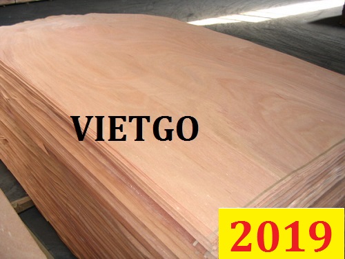 Cơ hội giao thương Đặc Biệt – Đơn hàng thường xuyên -  Cơ hội xuất khẩu Ván bóc mặt gỗ dầu sang thị trường Ấn Độ