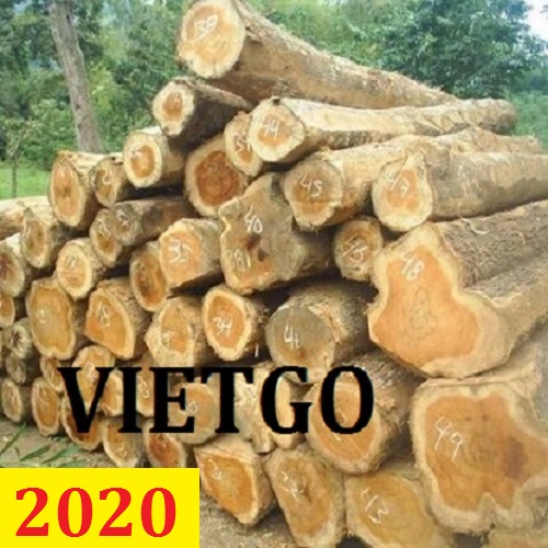 (Cập nhập lần 1) Cơ hội giao thương - Đơn hàng thường xuyên - Cơ hội xuất khẩu gỗ 3 container 40ft mỗi tháng teak tròn sang Ấn Độ