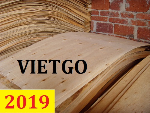 Cơ hội giao thương – Đơn hàng thường xuyên - Cơ hội xuất khẩu ván bóc keo hoặc bạch đàn sang Ấn Độ