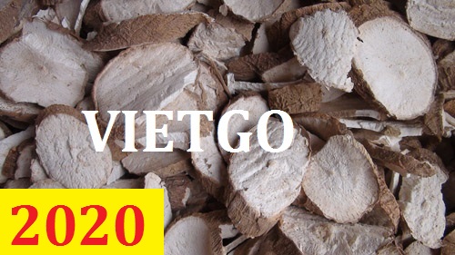 Cơ hội giao thương – Đơn hàng Cả Năm - Cơ hội xuất khẩu Sắn Lát sang thị trường Nam Phi