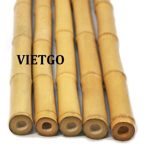 Cơ hội giao thương RẤT GẤP  – Cơ hội xuất khẩu 100,000 gậy tre sang thị trường Romania