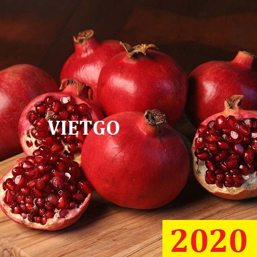 Cơ hội giao thương Đặc Biệt  – Đơn hàng Cả Năm - Cơ hội xuất khẩu Quả Lựu sang thị trường Hàn Quốc