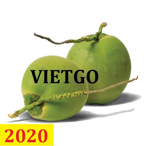 Cơ hội giao thương – Đơn hàng thường xuyên – Cơ hội xuất khẩu quả dừa sang thị trường Hàn Quốc