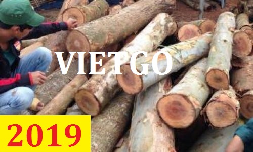 Cơ hội giao thương – Đơn thành thường xuyên - Cơ hội xuất khẩu 100 tấn Gỗ bạch đàn tròn mỗi tháng sang Ấn Độ