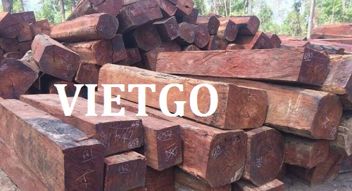 Cơ hội giao thương - Cơ hội xuất khẩu Gỗ căm xe xẻ hộp sang Ấn Độ