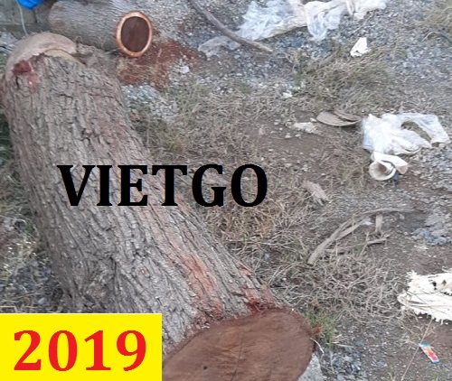 Cơ hội giao thương -  Đơn hàng thường xuyên - Cơ hội xuất khẩu Gỗ keo tròn sang Ấn Độ