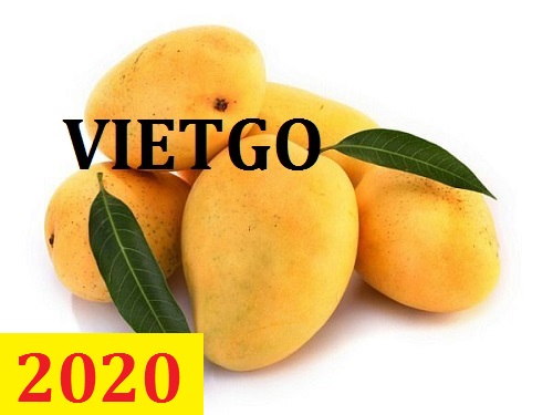 (Cập nhật lần 1) Cơ hội giao thương – Đơn hàng thường xuyên – Cơ hội xuất khẩu xoài sang thị trường Malaysia.