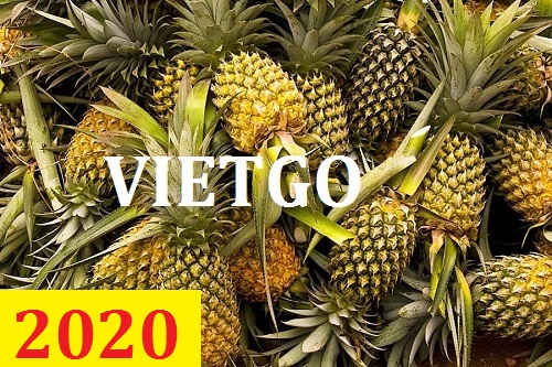 (Cập nhật lần 1) Cơ hội giao thương – Đơn hàng thường xuyên – Cơ hội xuất khẩu dứa sang thị trường Malaysia.