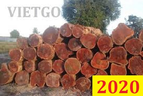 (Cập nhập lần 1) Cơ hội giao thương ĐẶC BIỆT– Đơn hàng thường xuyên - Đơn hàng xuất khẩu gỗ căm xe tròn sang Ấn Độ