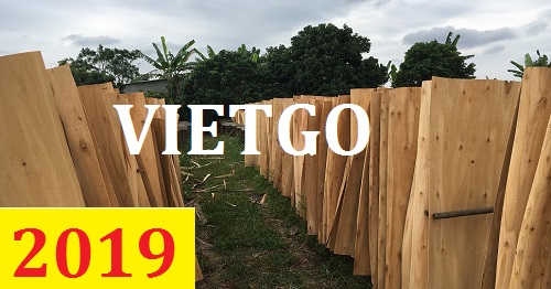 Cơ hội giao thương – Đơn hàng thường xuyên - Cơ hội xuất khẩu Ván bóc keo hoặc bạch đàn sang Ấn Độ