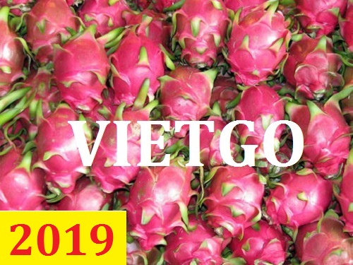 Cơ hội giao thương – Đơn hàng Thường Xuyên - Cơ hội xuất khẩu Thanh Long sang thị trường Ấn Độ