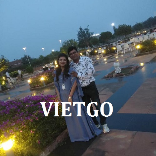 Cơ hội giao thương đặc biệt - Cơ hội xuất khẩu Gỗ thông tròn sang Ấn Độ