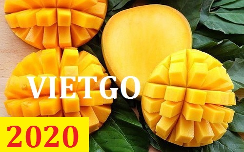 Cơ hội giao thương – Đơn hàng thường xuyên - Cơ hội xuất khẩu 1 cont 40ft xoài sang thị trường Đông Phi