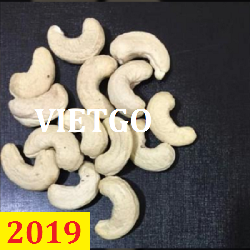 Cơ hội giao thương – Đơn hàng thường xuyên - Cơ hội xuất khẩu 1 cont 20ft hạt điều sang thị trường Ấn Độ