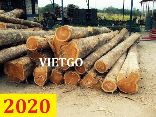 (Cập nhật lần 1) Cơ hội giao thương – Đơn hàng thường xuyên - Cơ hội xuất khẩu gỗ teak tròn cho vị khách đến từ Ấn Độ