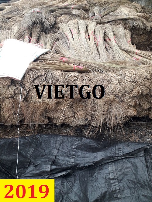 Cơ hội giao thương – Đơn hàng Thường Xuyên - Cơ hội xuất khẩu Sợi Chổi Chít sang thị trường Ấn Độ