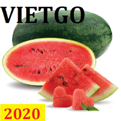 Cơ hội giao thương – Đơn hàng thường xuyên – Cơ hội xuất khẩu dưa hấu sang thị trường Kuwait.