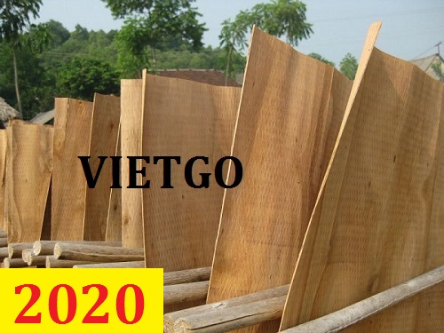 (Cập nhật lần 1) Cơ hội giao thương – Đơn hàng thường xuyên - Cơ hội xuất khẩu 15 container 40 ft Ván bóc gỗ bạch đàn