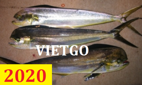 Cơ hội giao thương – Đơn hàng Thường Xuyên – Cơ hội xuất khẩu từ 5 đến 10 container Cá dũa (cá nục heo) đến Guyana