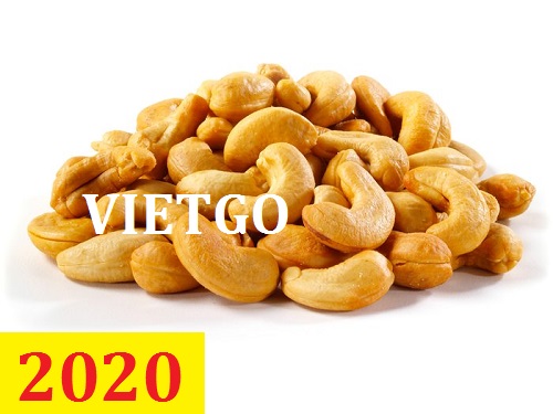 Cơ hội giao thương – Đơn hàng Cả Năm - Cơ hội xuất khẩu Hạt Điều sang thị trường Ấn Độ
