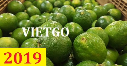 Cơ hội giao thương – Đơn hàng Thường Xuyên - Cơ hội xuất khẩu Chanh Xanh sang thị trường Ấn Độ