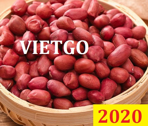 Cơ hội giao thương Đặc Biệt – Đơn hàng Cả Năm - Cơ hội xuất khẩu Lạc Nhân sang thị trường Thổ Nhĩ Kỳ