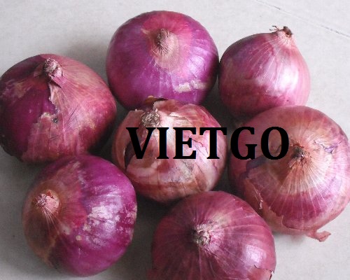 Cơ hội giao thương – Cơ hội xuất khẩu hành tím tròn sang thị trường Bangladesh.