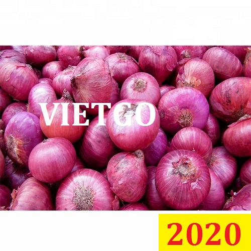 Cơ hội giao thương – Đơn hàng đặc biệt thường xuyên – Cơ hội xuất khẩu Hành Tây sang thị trường Hồng Kong.
