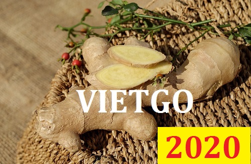 Cơ hội giao thương Đặc Biệt  – Đơn hàng Thường Xuyên – Cơ hội xuất khẩu Gừng Khô sang thị trường HongKong