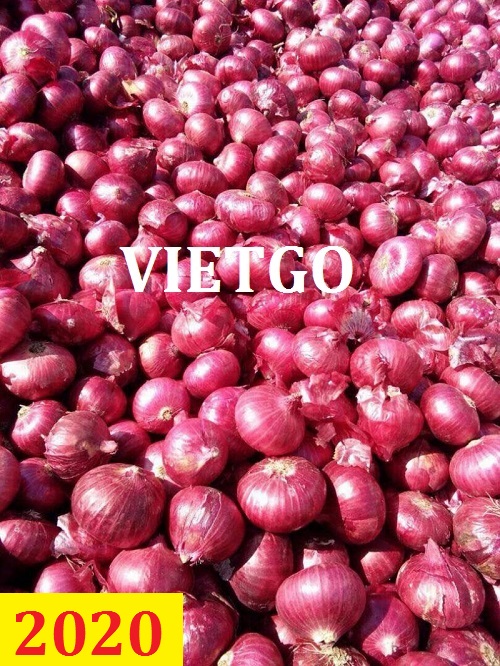 Cơ hội giao thương – Đơn hàng thường xuyên - Cơ hội xuất khẩu 1 cont 40ft hành tím sang thị trường Malaysia