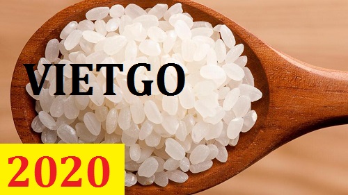 Cơ hội giao thương – Đơn hàng Cả Năm - Cơ hội xuất khẩu Gạo Hạt Tròn sang thị trường Ai Cập
