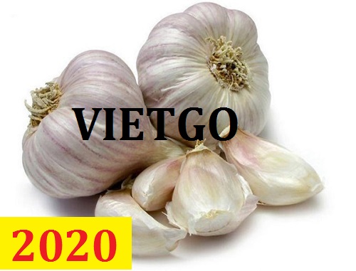 Cơ hội giao thương – Đơn hàng Cả Năm - Cơ hội xuất khẩu Tỏi Trắng sang thị trường Mỹ