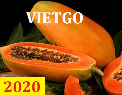 Cơ hội giao thương – Đơn hàng Cả Năm - Cơ hội xuất khẩu Quả đu đủ sang thị trường Hungary