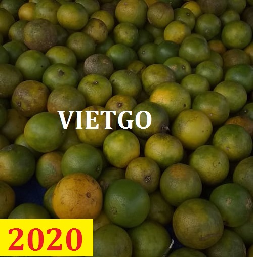 Cơ hội giao thương – Đơn hàng Thường Xuyên - Cơ hội xuất khẩu Quả Cam sang thị trường French Guiana
