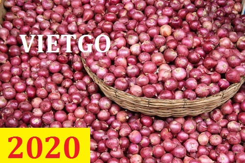Cơ hội giao thương – Đơn hàng thường xuyên - Cơ hội xuất khẩu 500 tấn hành tím sang Ấn Độ.