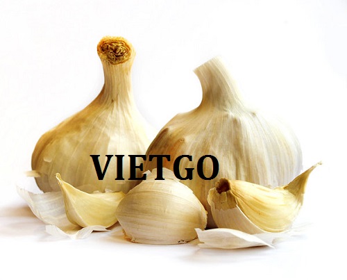 Cơ hội giao thương – Đơn hàng Cả năm -  Cơ hội xuất khẩu tỏi sang thị trường Ấn Độ.