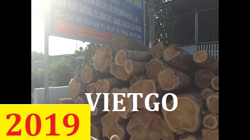 Cơ hội giao thương – Đơn hàng thường xuyên - Cơ hội xuất khẩu Gỗ teak tròn sang thị trường Ấn Độ