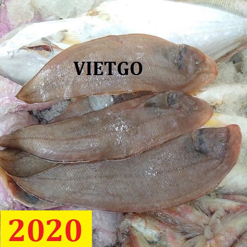Cơ hội giao thương – Đơn hàng Thường Xuyên – Cơ hội xuất khẩu CÁ BƠN sang thị trường TRUNG QUỐC