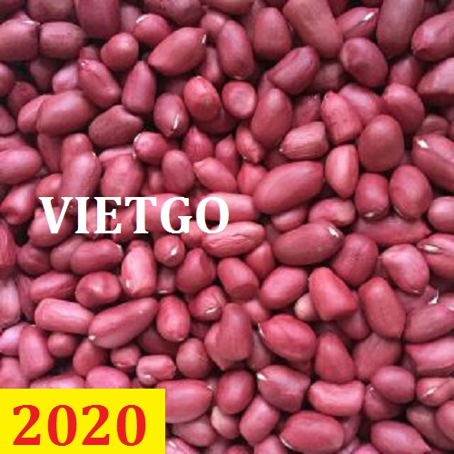 Cơ hội giao thương – Đơn hàng Cả Năm - Cơ hội xuất khẩu Lạc Nhân sang thị trường Trung Quốc
