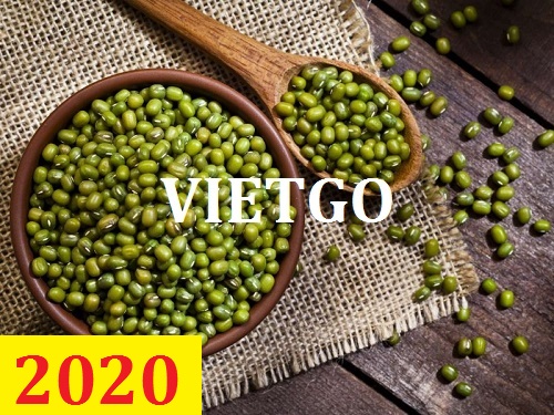 Cơ hội giao thương – Đơn hàng Cả Năm - Cơ hội xuất khẩu Đậu Xanh sang thị trường Trung Quốc